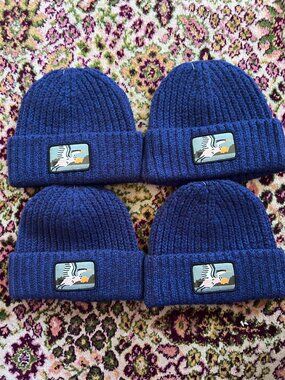 NWT Bird Collective 100% Merino Wool Beanie